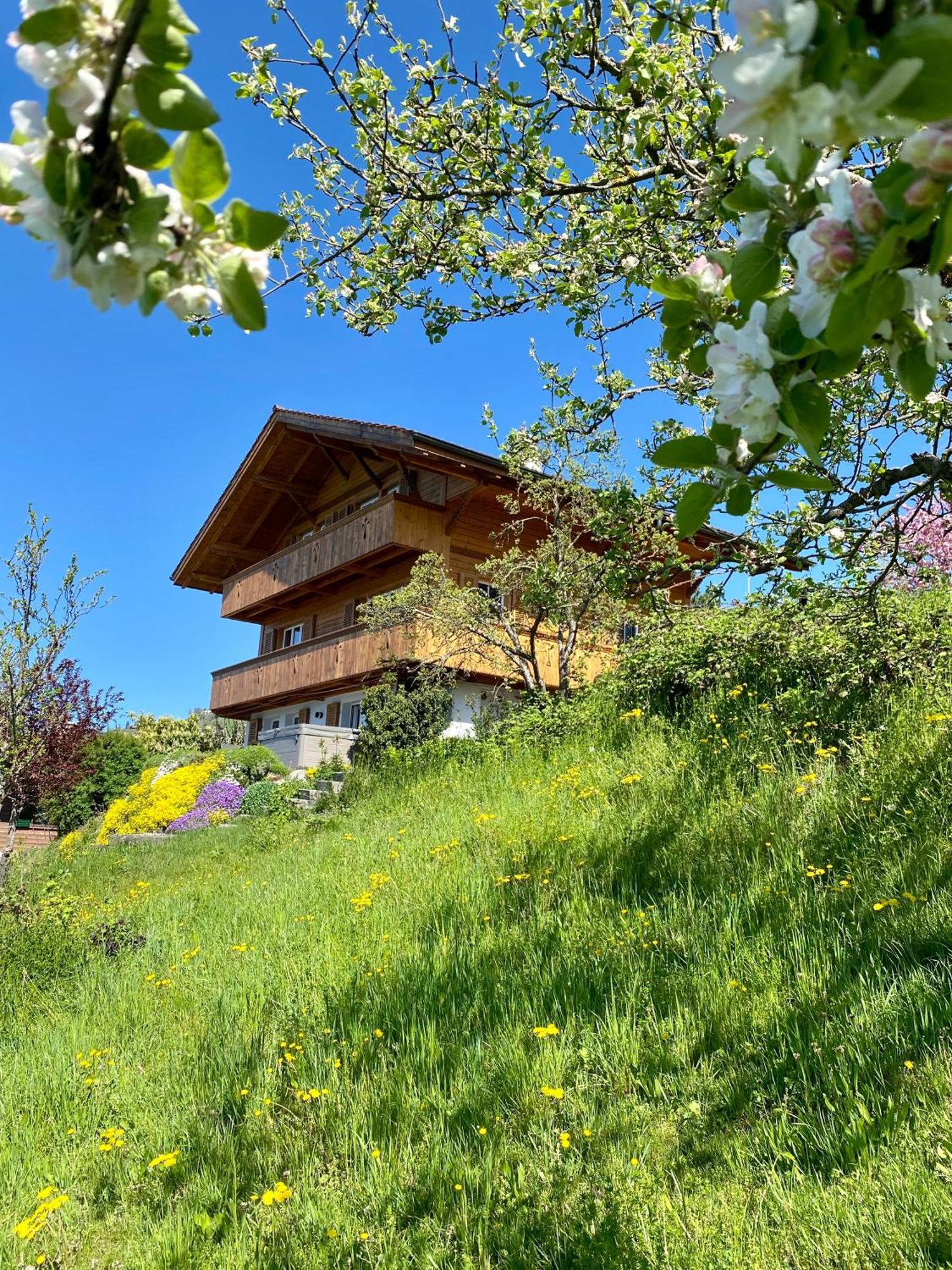 Chalet Egglen "Typical Swiss House, Best Views, Private Jacuzzi" Sigriswil Εξωτερικό φωτογραφία
