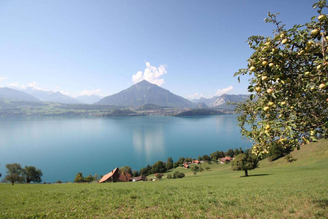 Chalet Egglen "Typical Swiss House, Best Views, Private Jacuzzi" Sigriswil Εξωτερικό φωτογραφία