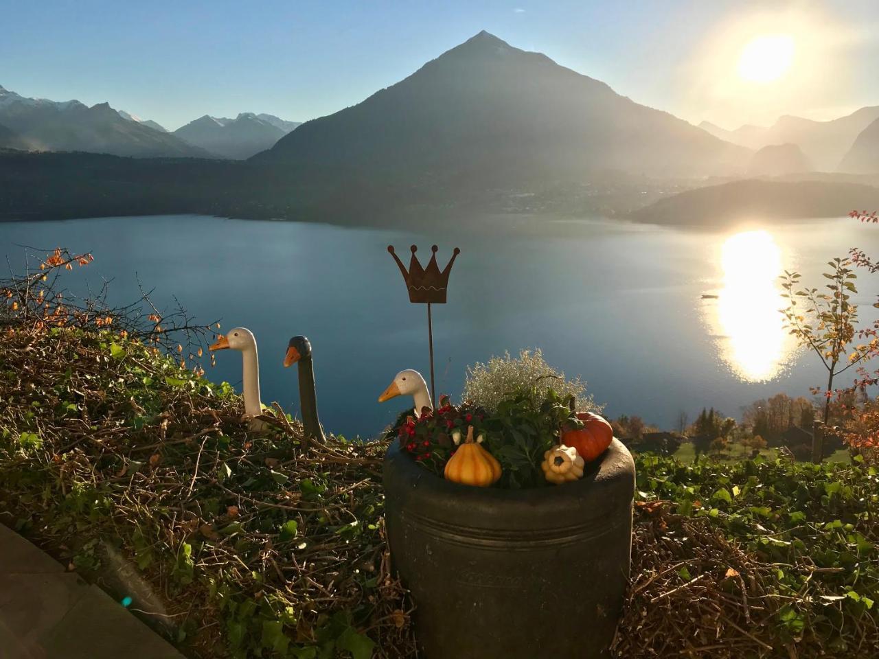 Chalet Egglen "Typical Swiss House, Best Views, Private Jacuzzi" Sigriswil Εξωτερικό φωτογραφία