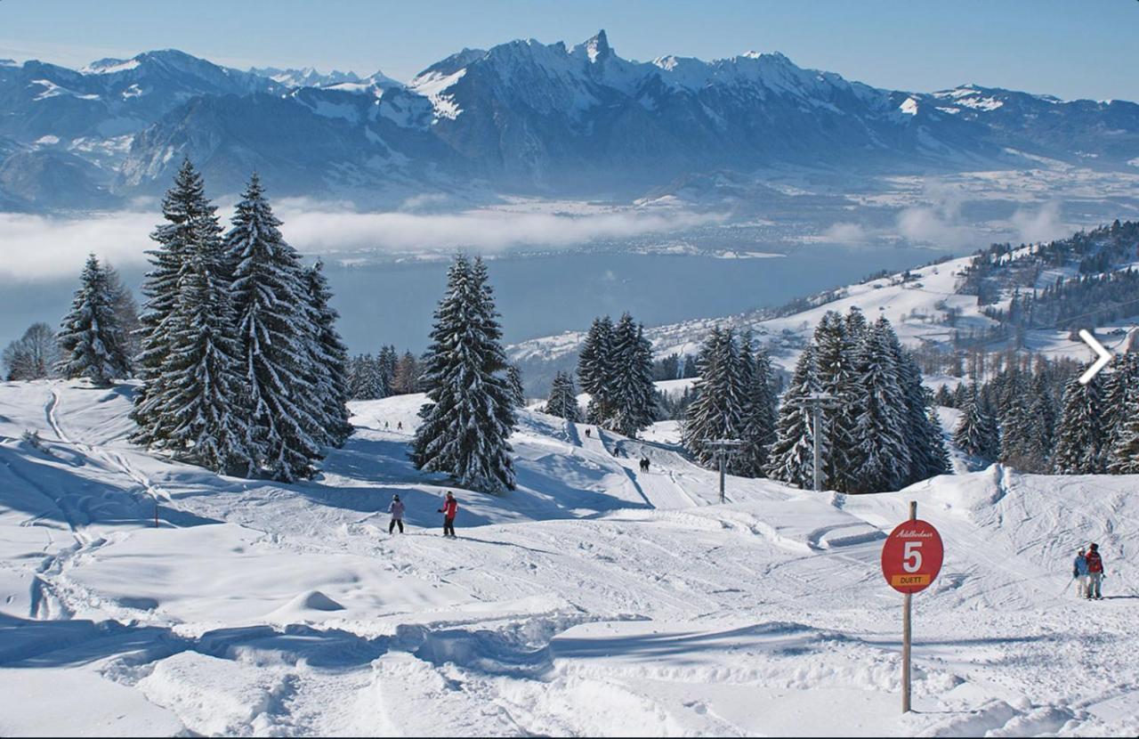 Chalet Egglen "Typical Swiss House, Best Views, Private Jacuzzi" Sigriswil Εξωτερικό φωτογραφία