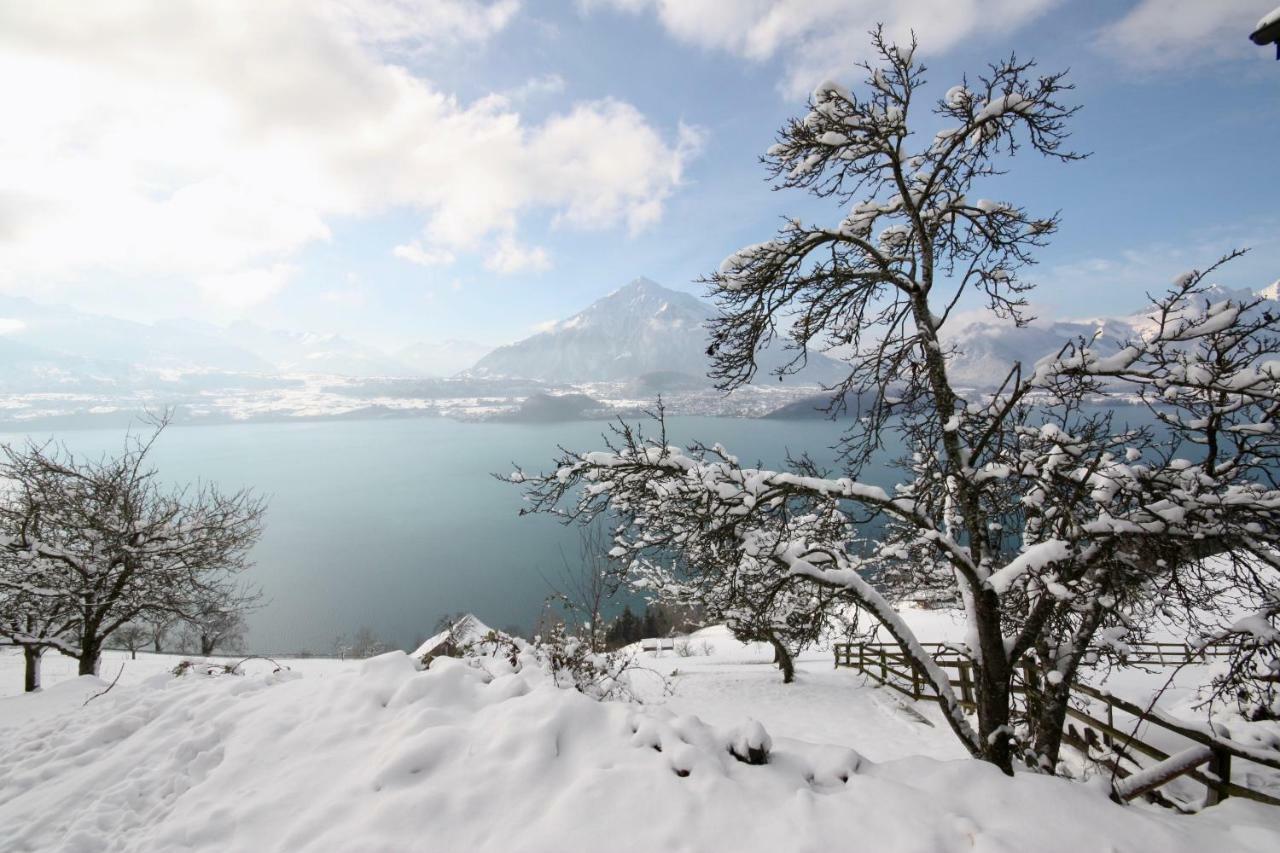 Chalet Egglen "Typical Swiss House, Best Views, Private Jacuzzi" Sigriswil Εξωτερικό φωτογραφία
