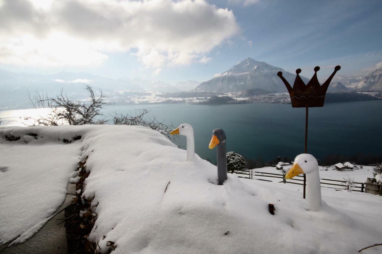 Chalet Egglen "Typical Swiss House, Best Views, Private Jacuzzi" Sigriswil Εξωτερικό φωτογραφία